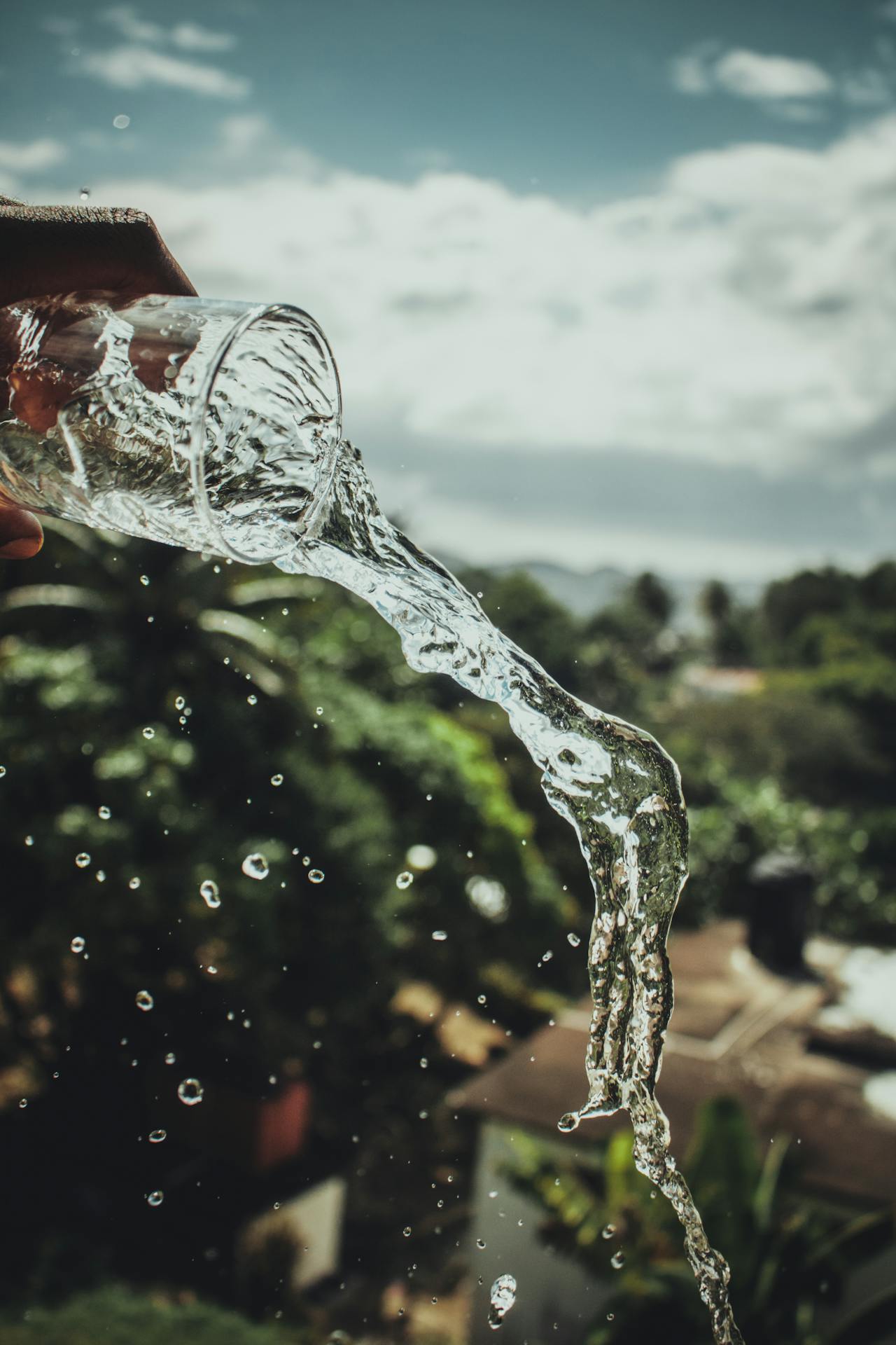 Hydrate To Thrive