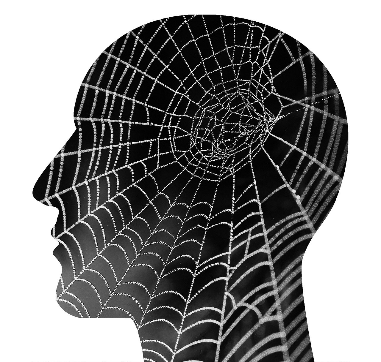 Embracing Minimalism for Mental Clarity